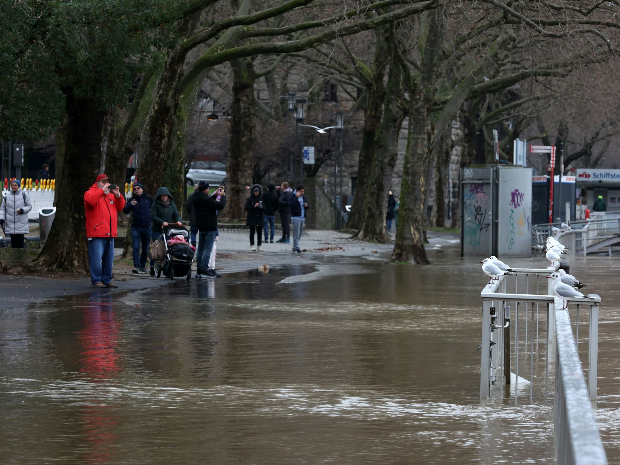 Hochwasser in der Kölner Altstadt, der Rhein läuft über das Ufer.