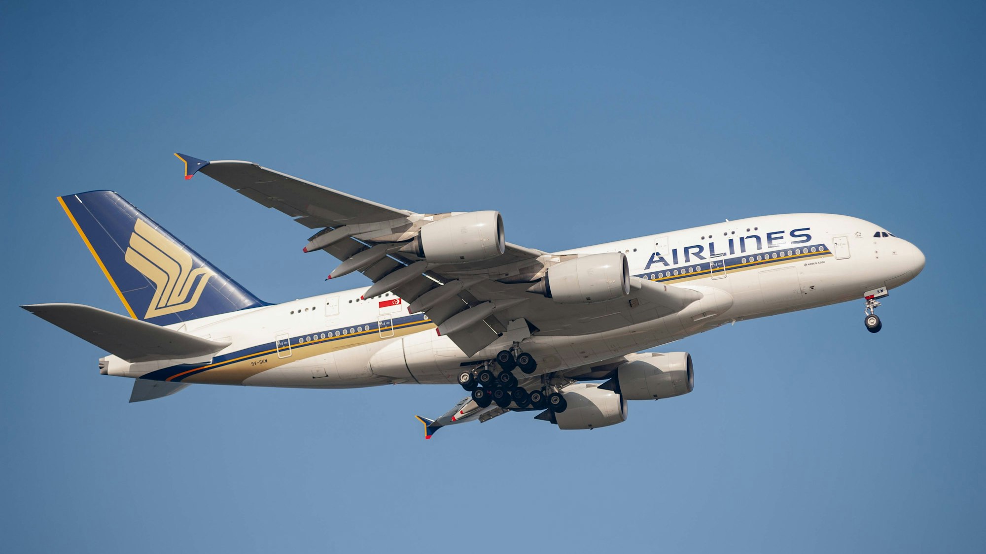 Ein Airbus A380 von Singapore Airlines kurz nach dem Start. Das Flugzeug ist markant in blau und gold lackiert. (Symbolbild)