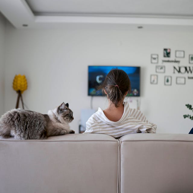 Foto einer Frau die auf dem Sofa vor eine Fernseher sitzt, zusammen mit einer Katze.