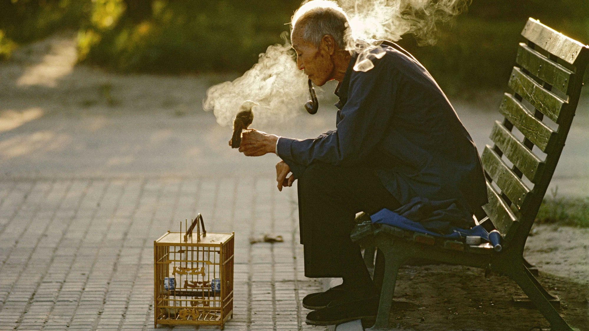 Das Bild „Old man with his pet bird in Ritan Park, Beijing, China, 1984“ zeigt einen alten Mann, der auf einer Parkbank sitzt, Pfeife raucht und auf dessen Hand ein Vogel sitzt. Auf dem Boden davor steht ein Vogelkäfig.