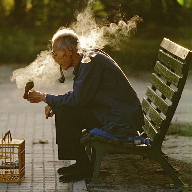 Das Bild „Old man with his pet bird in Ritan Park, Beijing, China, 1984“ zeigt einen alten Mann, der auf einer Parkbank sitzt, Pfeife raucht und auf dessen Hand ein Vogel sitzt. Auf dem Boden davor steht ein Vogelkäfig.