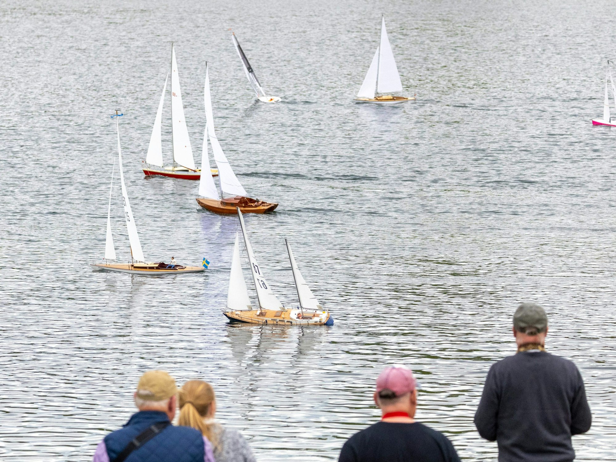 Ferngesteuerte Modellsegelboote fahren auf dem Fühlinger See.