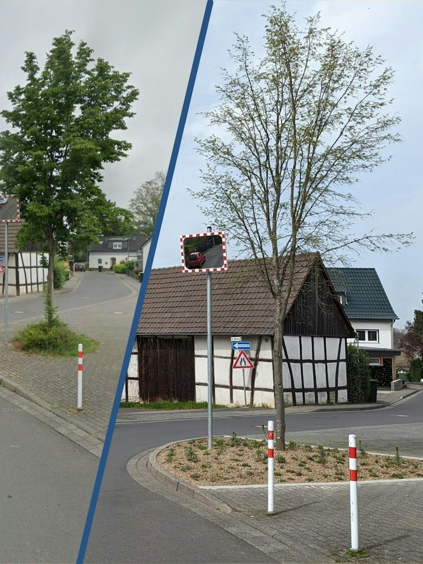 An der Hoffnungsthaler Straße in Rösrath-Forsbach wurde anstelle einer Baumscheibe ein deutlich größeres Beet geschaffen.