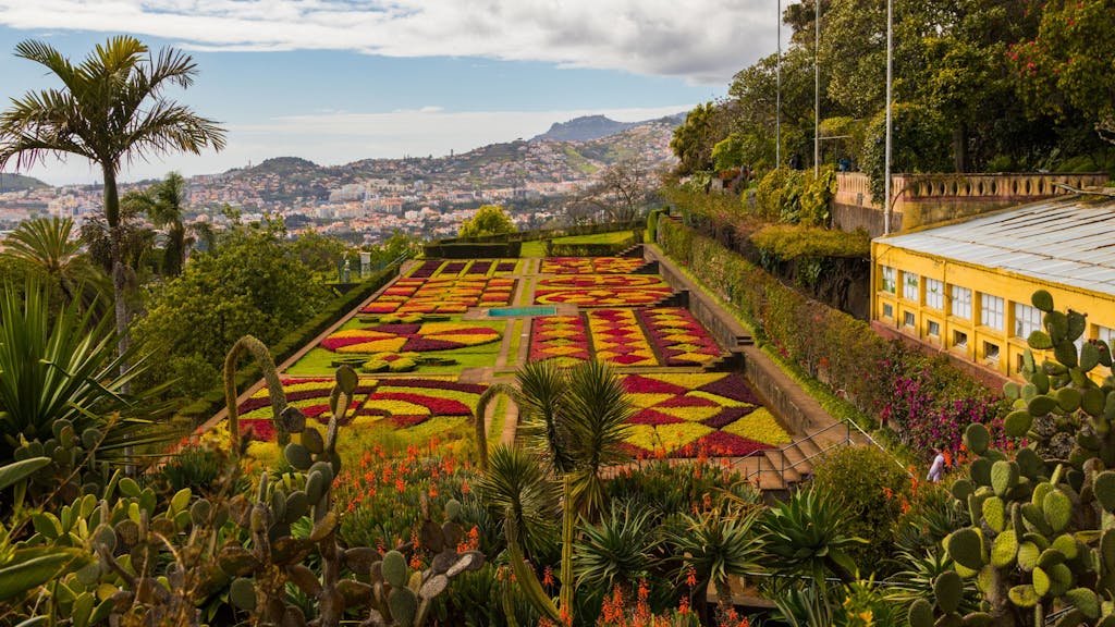 HANDOUT - Zum Themendienst-Bericht von Manuel Meyer vom 10. Juli 2018: Botanischer Garten in Madeira.