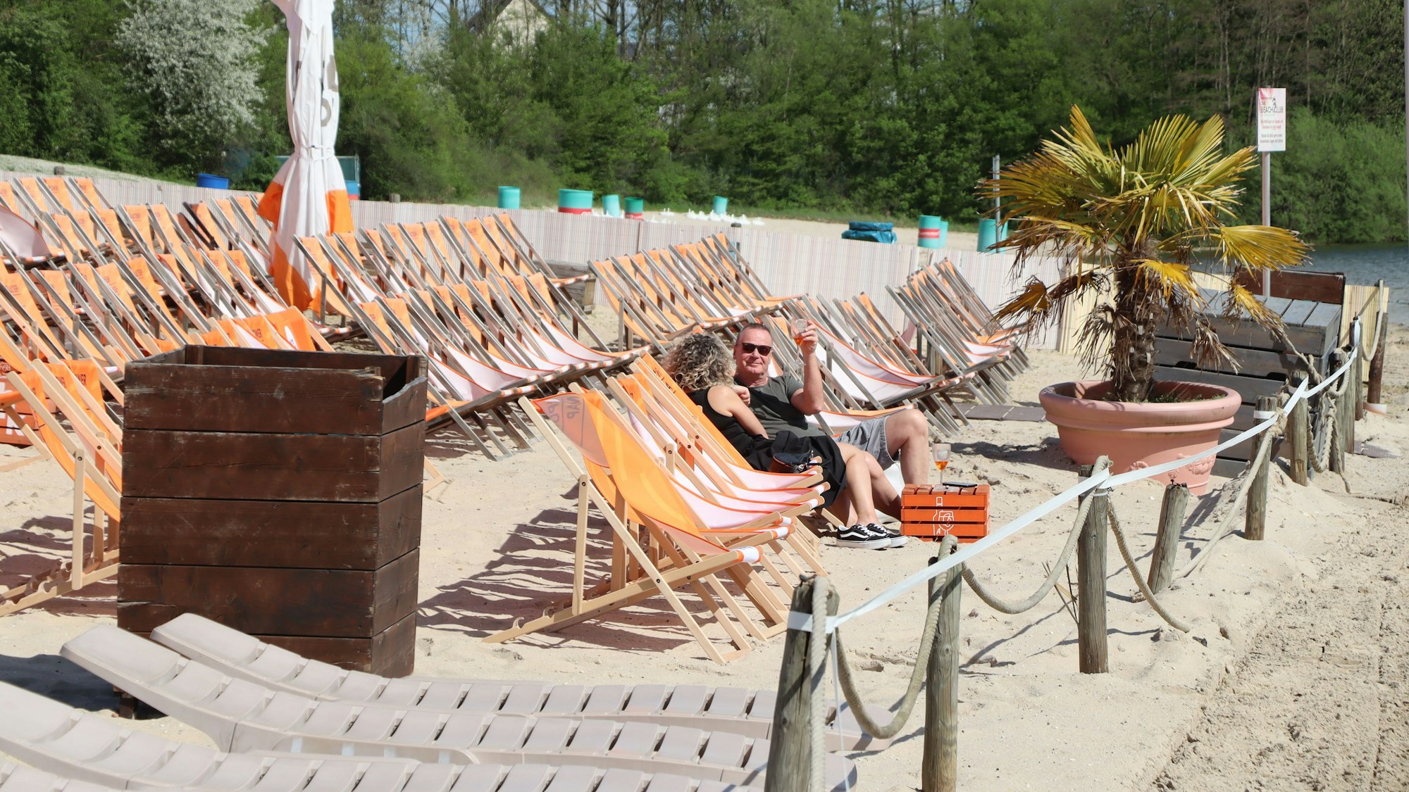 Am Sandstrand stehen mehrere Reihen von Liegestühlen vor einer Palme. Darin zwei Besucher mit Cocktailgläsern in der Hand.