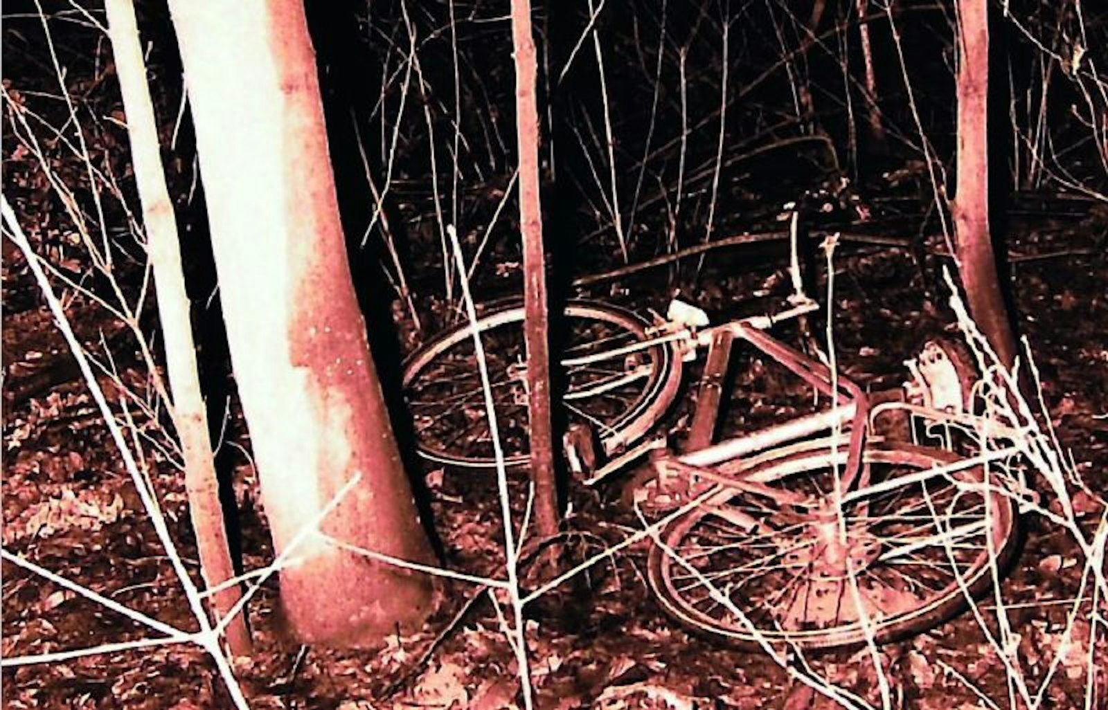 Entführungsfall Johannes Erlemann: das Fahrrad von Johannes wurde in einem Gebüsch des Forstbotanischen Gartens gefunden, wo ihn einer der Entführer vom Rad gerissen hatte
