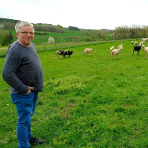 Landwirt Karl Josef Winter steht auf einer Weide, auf der einige seiner Merino-Landschafe  grasen.