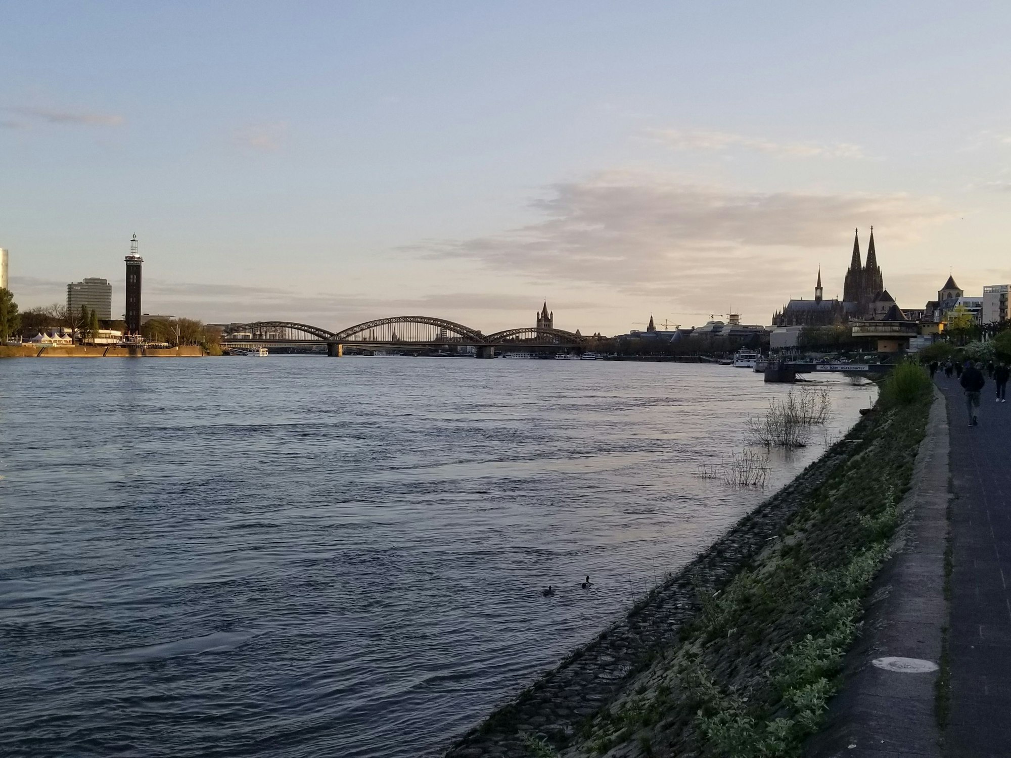 Das Rhein-Panorama in der Abenddämmerung