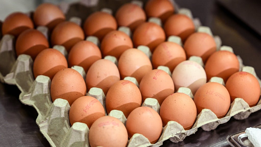 Eier liegen in einem Eierkarton.