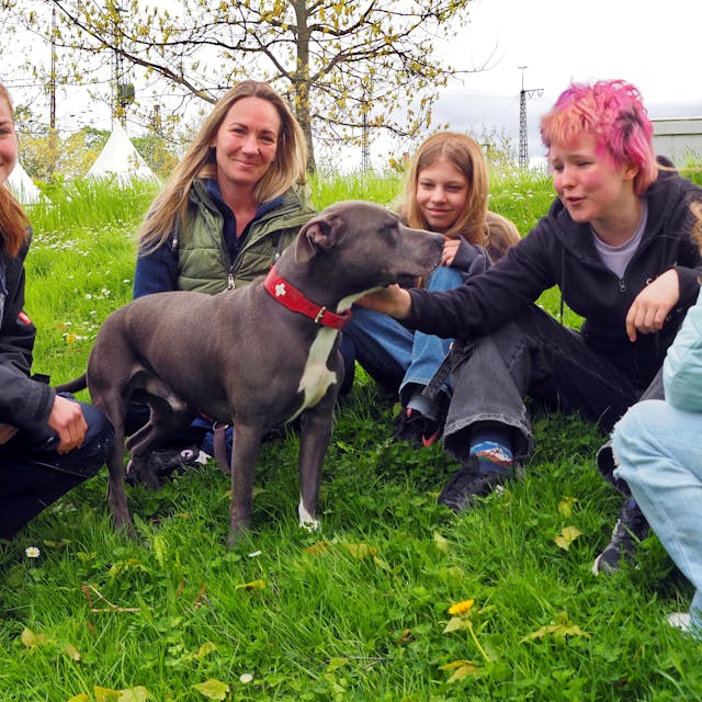 Azubi Leonie Richter, Nadine Schönrock, Maya, Tilda und Lale vergnügen sich mit Hades auf der Wiese am Tierheim.