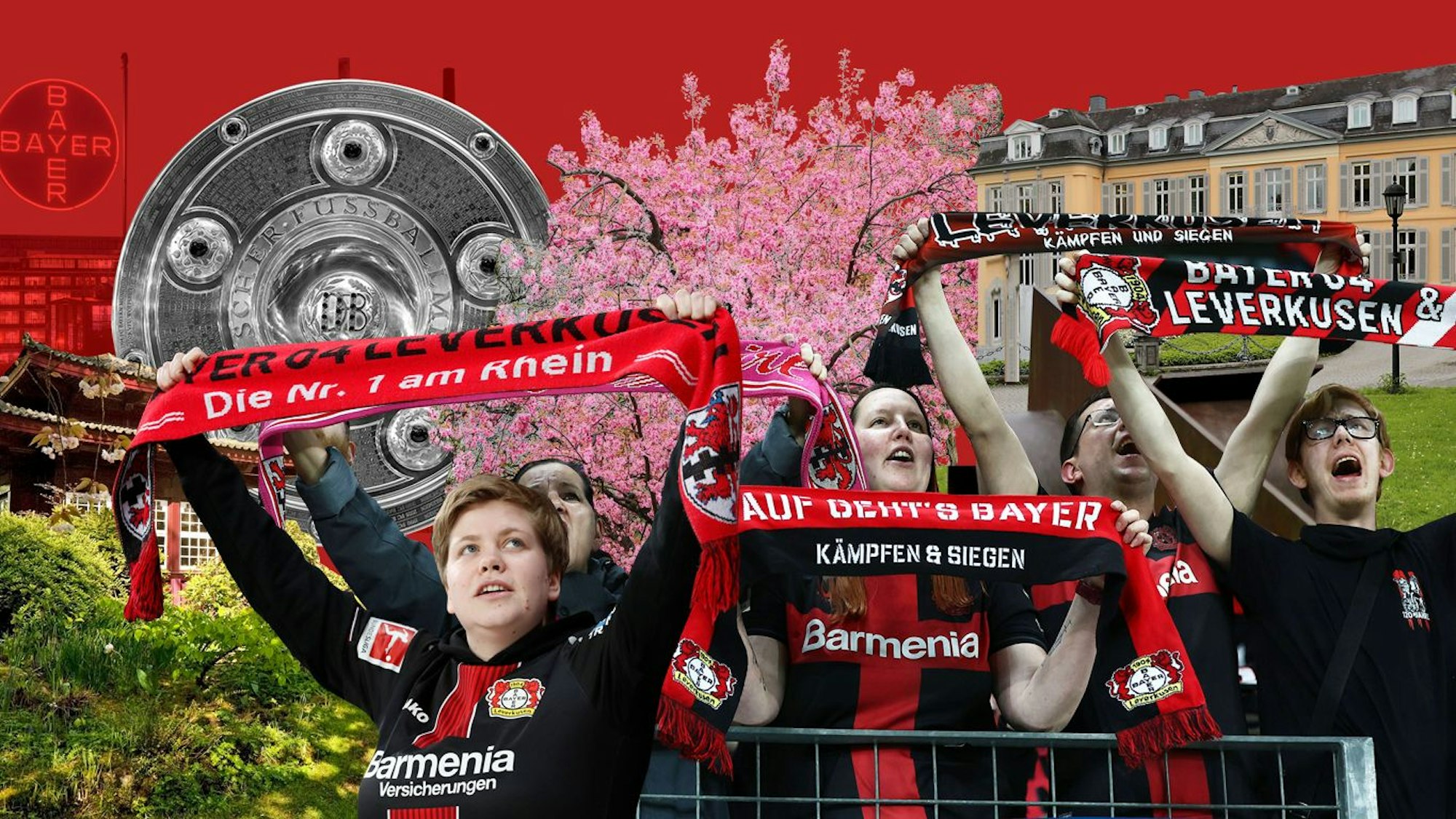 Leverkusen Montage