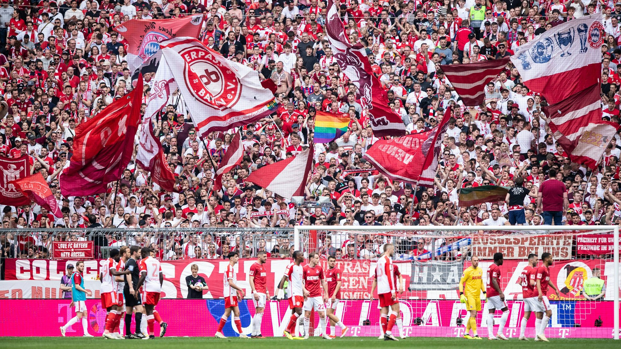 Die Fans des FC Bayern schwenken zahlreiche Fahnen auf der Tribüne beim Spiel gegen den 1. FC Köln.