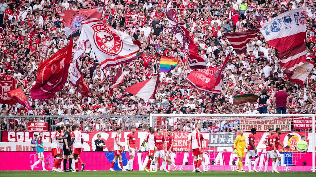 Die Fans des FC Bayern schwenken zahlreiche Fahnen auf der Tribüne beim Spiel gegen den 1. FC Köln.