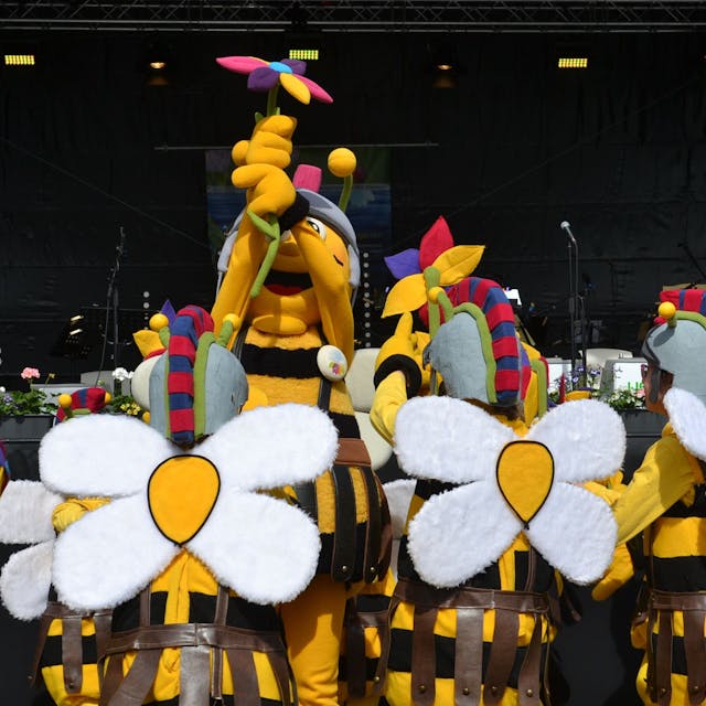Große und kleine Bienen von den Tolbienchen zeigen eine kurze Tanzvorstellung.