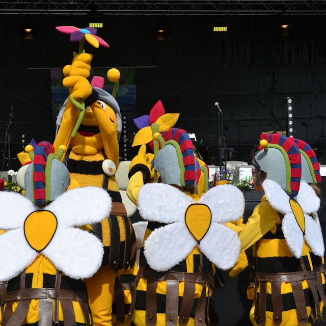 Große und kleine Bienen von den Tolbienchen zeigen eine kurze Tanzvorstellung.