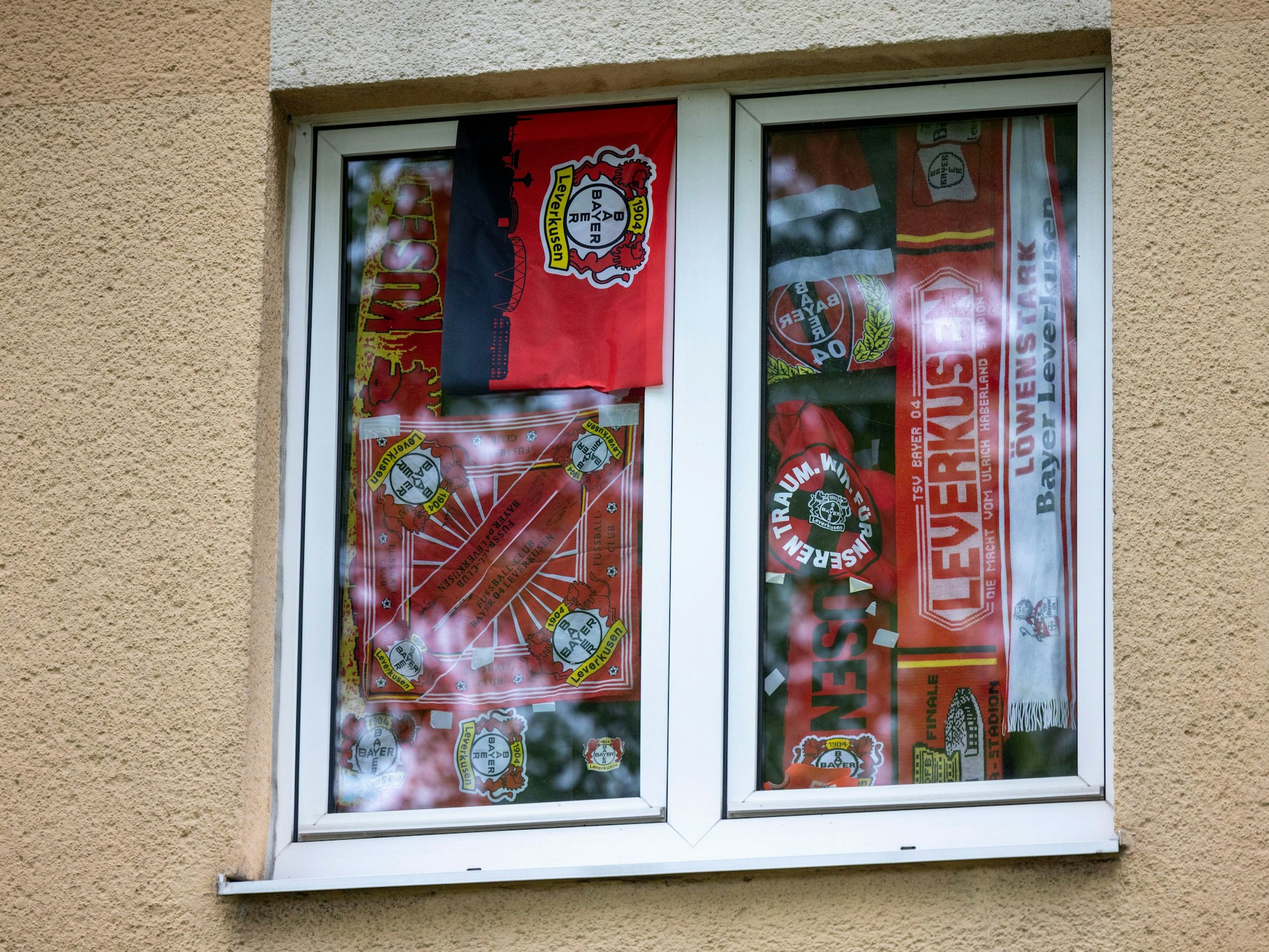 Ein Wohnungsfenster ist mit diversen Fanartikeln von Bayer 04 Leverkusen geschmückt.
