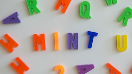 MINT ist eine zusammenfassende Bezeichnung von Unterrichtsfächern aus den Bereichen Mathematik, Informatik, Naturwissenschaft und Technik (Symbolbild)