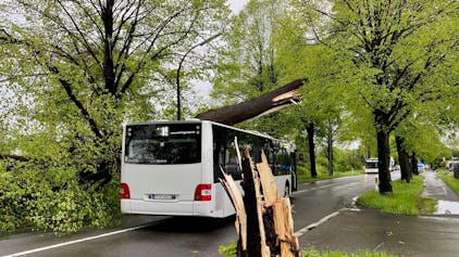 In Köln-Godorf ist ein Baum auf einen KVB-Bus gekippt.