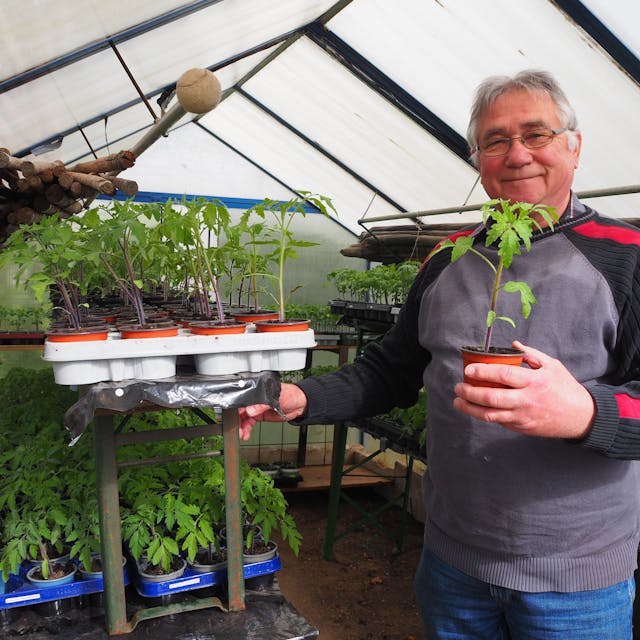 Günter Stadtfeld ist Tomaten-Experte und züchtet seit Jahren Tausende Pflanzen heran, die er gegen eine Spende abgibt.