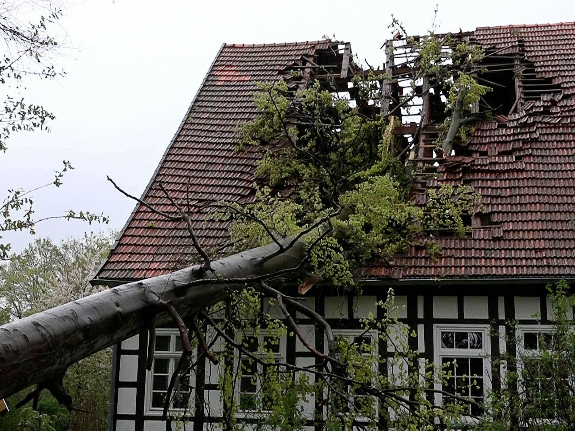 Ein Baum ist bei stürmischem Wetter durch das Dach eines Fachwerkhauses im Kreis Steinfurt (Regierungsbezirk Münster) gestürzt. Das über Deutschland hinweggezogene Unwetter hat am Montagabend in Teilen des Landes unter anderem Bäume umstürzen lassen und Dächer abgedeckt.