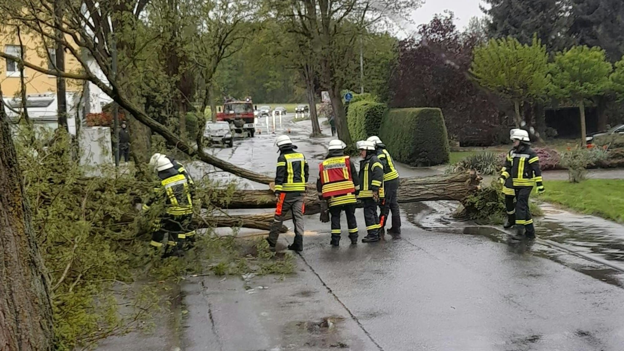 Ein Baum blockierte die Straße in Buschhoven.