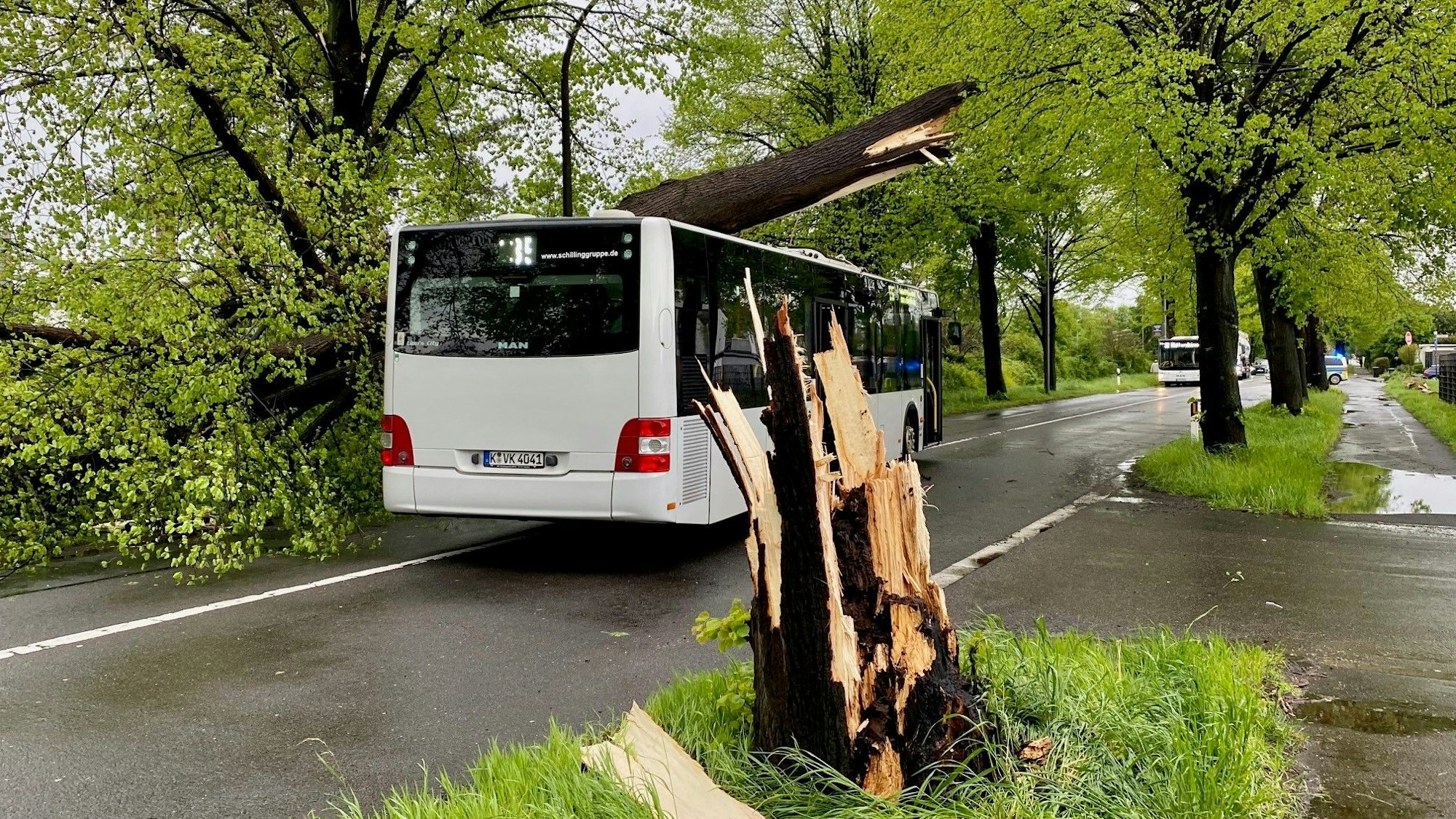 Ein Baum ist auf einen Bus der KVB gestürzt.