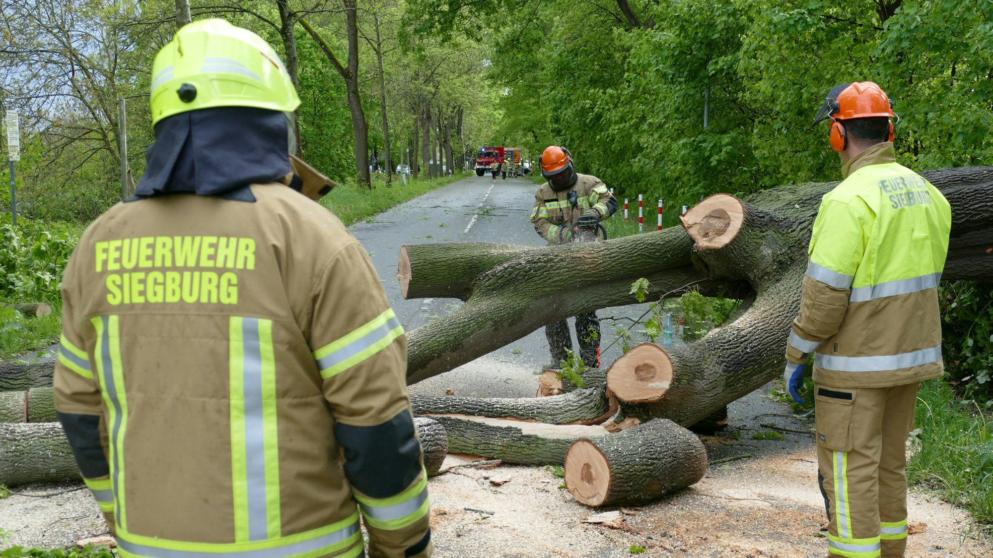 Feuerwehrleute zersägen einen Baum.