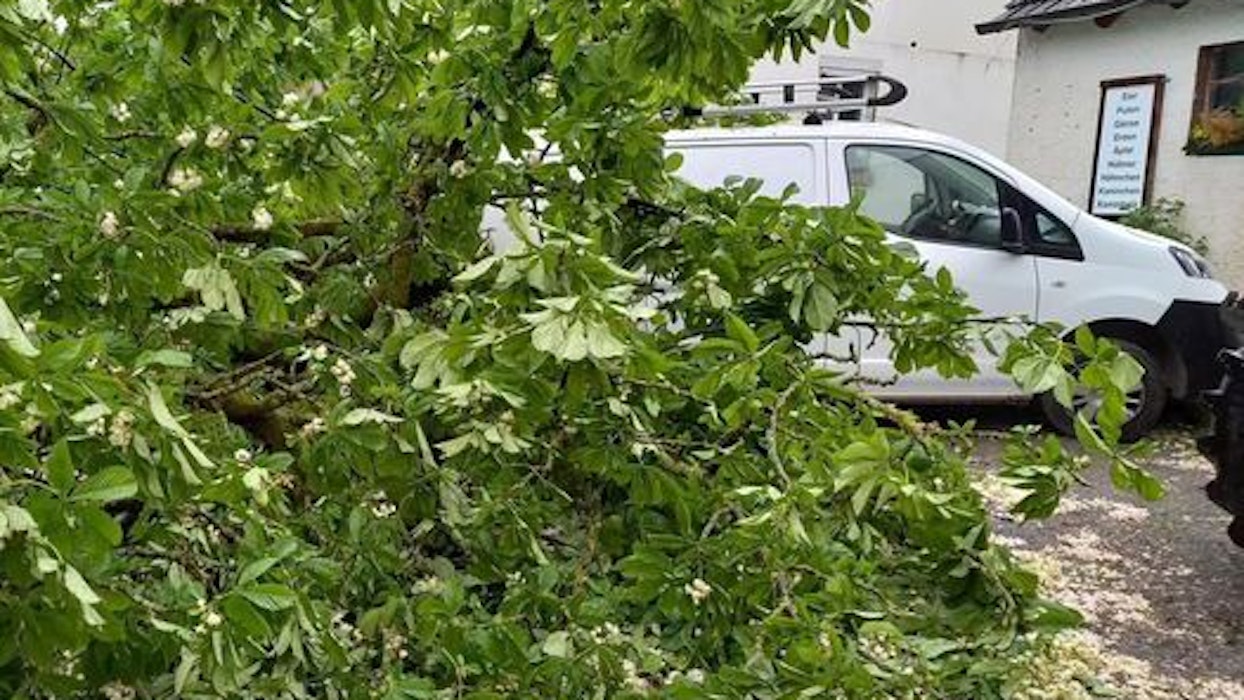 Ein Auto steht hinter einem umgestürzten Baum in Odenthal.