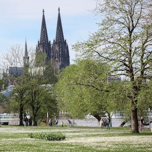Kölner Dom vom Rheinpark aus fotografiert