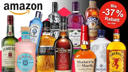 Viele Spirituosen Flaschen wie Whisky, Gin, Wodka und Rum vor einem bunten Hintergrund. Marken wie Tanqueray, Jameson, Fireball, Highland Park, Malfy, Bombay, Maker's Mark, Brugal, Zacapa.