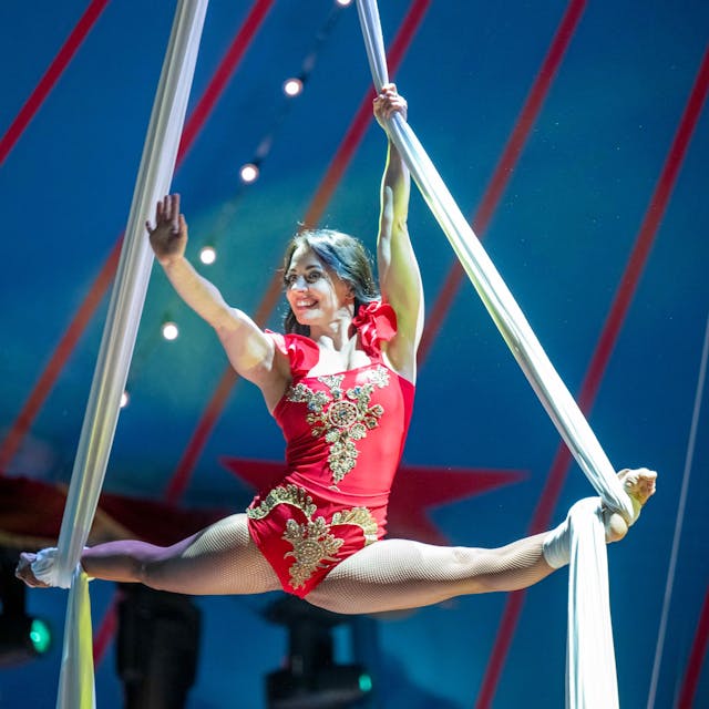 Artistin hängt in einem Spagat zwischen zwei Seilen in einem Zirkuszelt