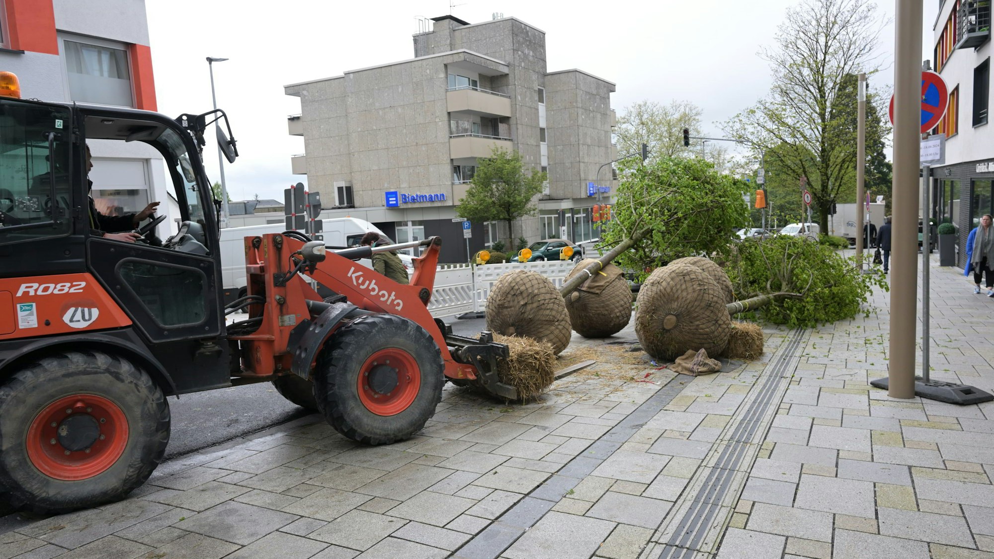 die ersten Bäume werden im Bereich der Schloßstrasse gespflanzt
