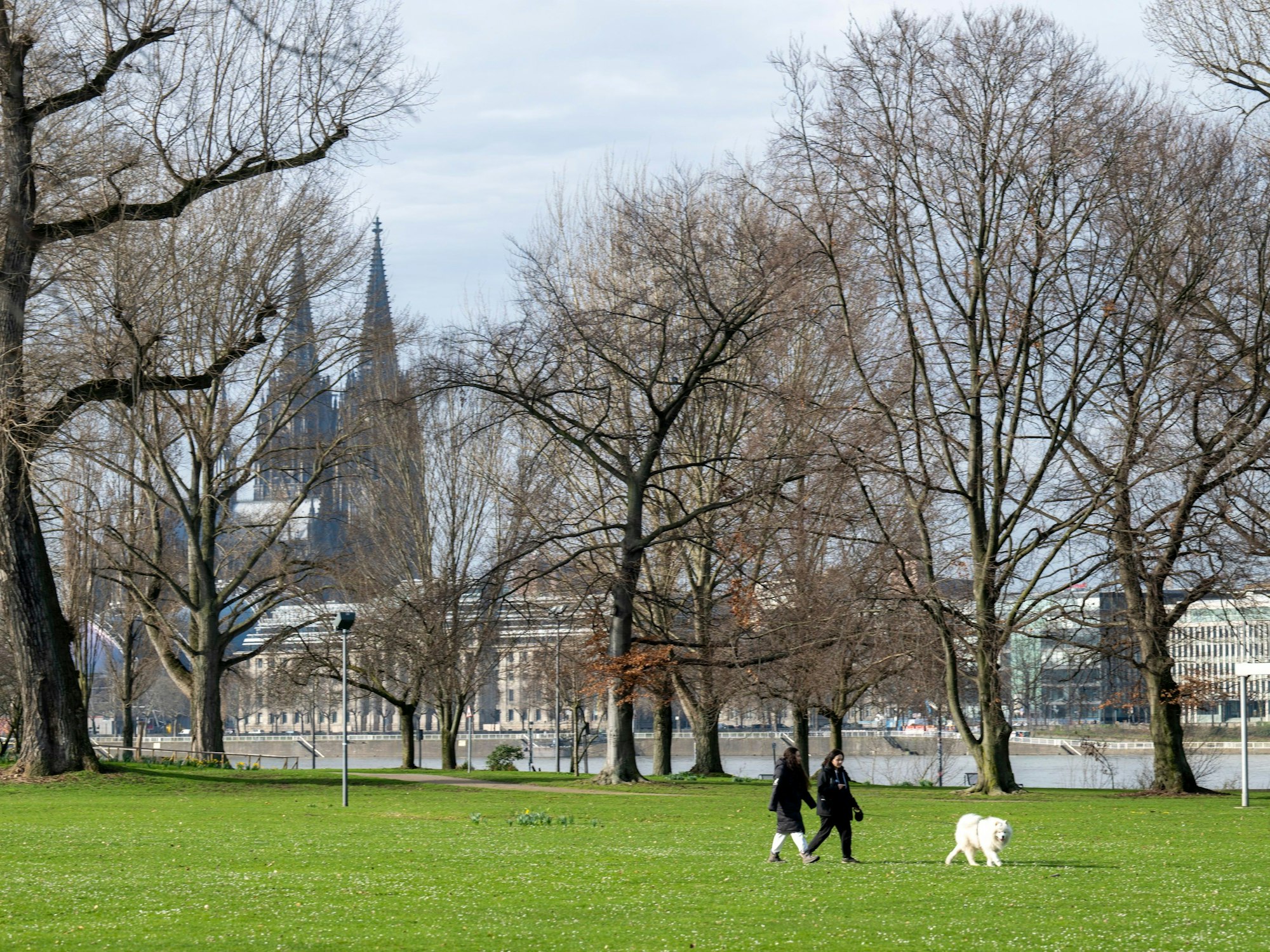 Zwei Frauen gehen mit einem Hund durch den Rheinpark in Köln. Im Hintergrund sind der Rhein und der Dom zu sehen.
