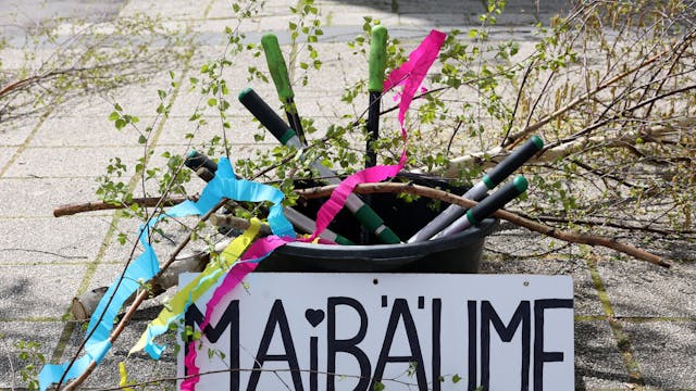 Ein Eimer mit buntem Kreppband, Birkenästen und Gartenwerkzeug, davor ein Schild mit dem Titel „Maibäume“