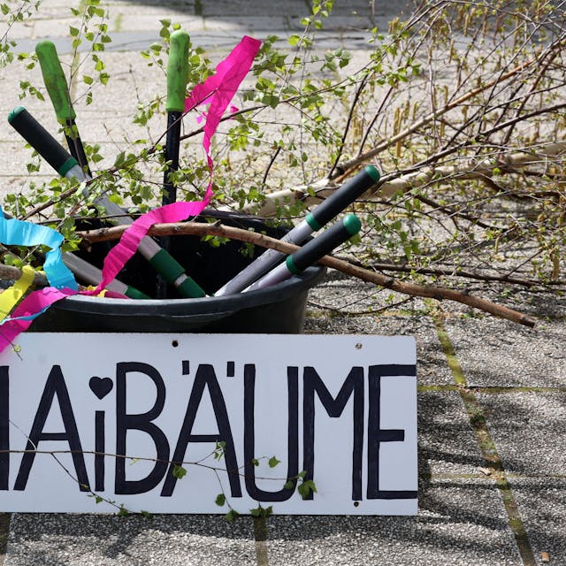 Ein Eimer mit buntem Kreppband, Birkenästen und Gartenwerkzeug, davor ein Schild mit dem Titel „Maibäume“