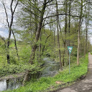 Ein geschwungener Radweg in einem Naturschutzgebiet führt entlang eines plätschernden Flusses, der von Bäumen gesäumt ist.
