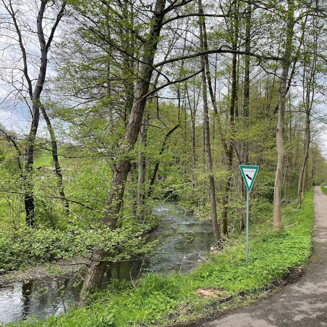 Ein geschwungener Radweg in einem Naturschutzgebiet führt entlang eines plätschernden Flusses, der von Bäumen gesäumt ist.