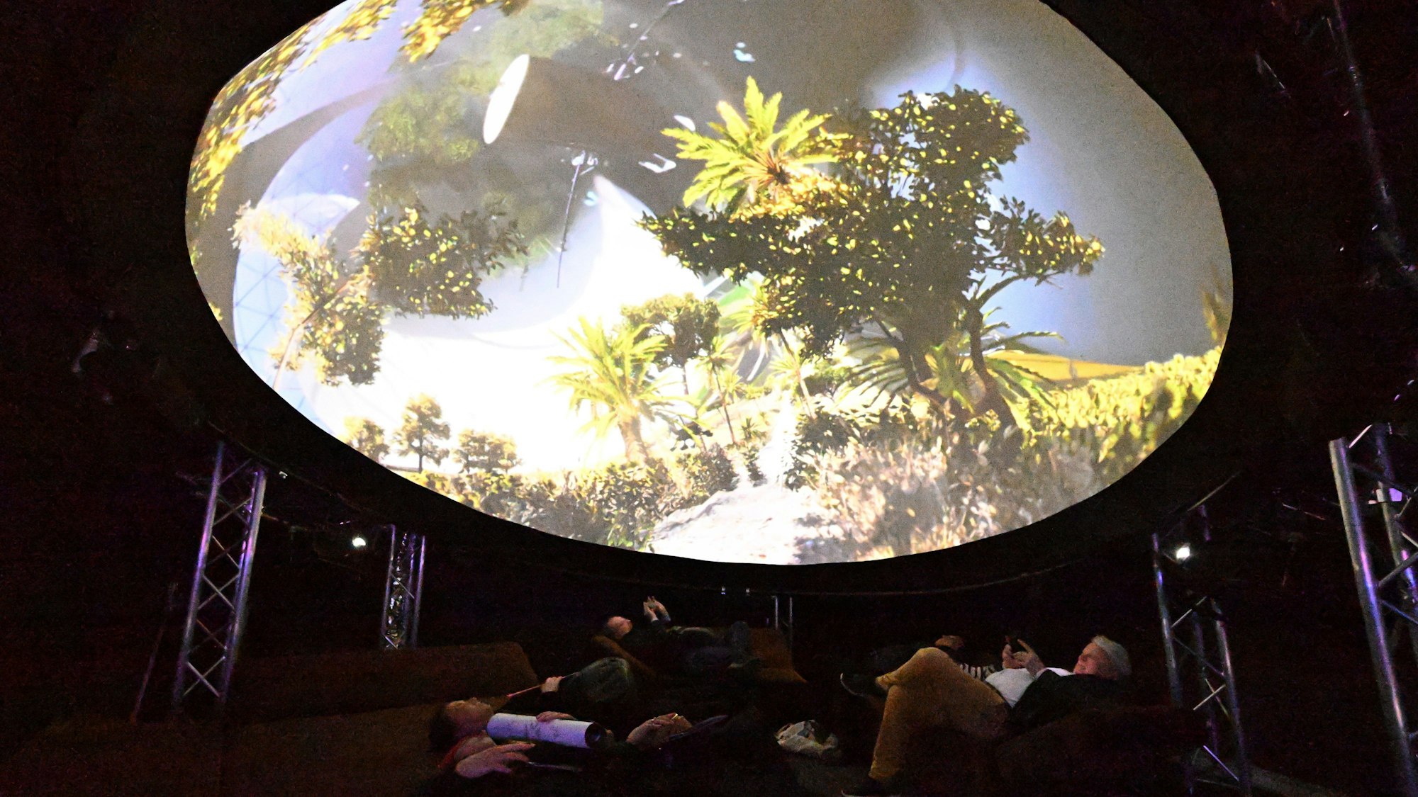 Menschen liegen unter einer Videoprojektion mit gefilmten Pflanzen.