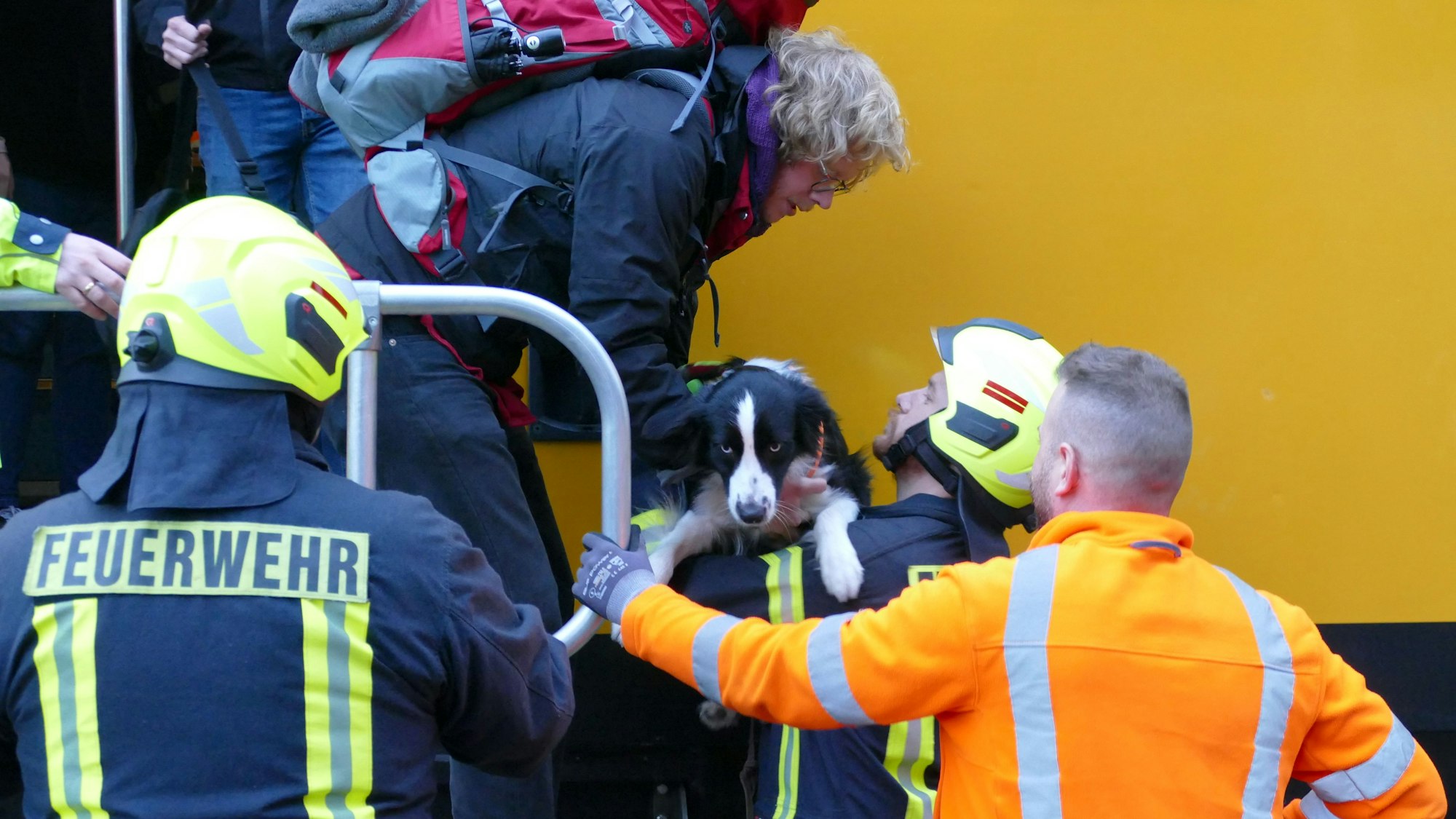Eine Zugpassagierin übergibt einen Hund an Rettungskräfte.