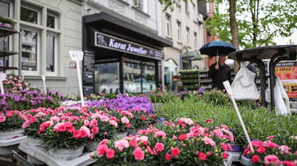 Blumen in der Schlebuscher Fußgängerzone