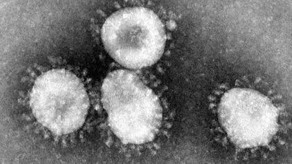 Coronavirus unter dem Mikroskop. 