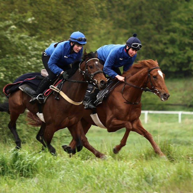 Zwei Jockeys sind auf Pferden in schnellen Tempo unterwegs. Im Hintergrund sieht man die Umrandungen einer Rennstrecke.