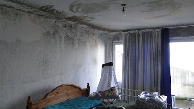An der Wand und Decke einer Wohnung eines Hauses der Osloer Straße hat sich der Schimmel großflächig ausgebreitet. Foto von Christopher Dröge