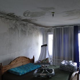 An der Wand und Decke einer Wohnung eines Hauses der Osloer Straße hat sich der Schimmel großflächig ausgebreitet. Foto von Christopher Dröge