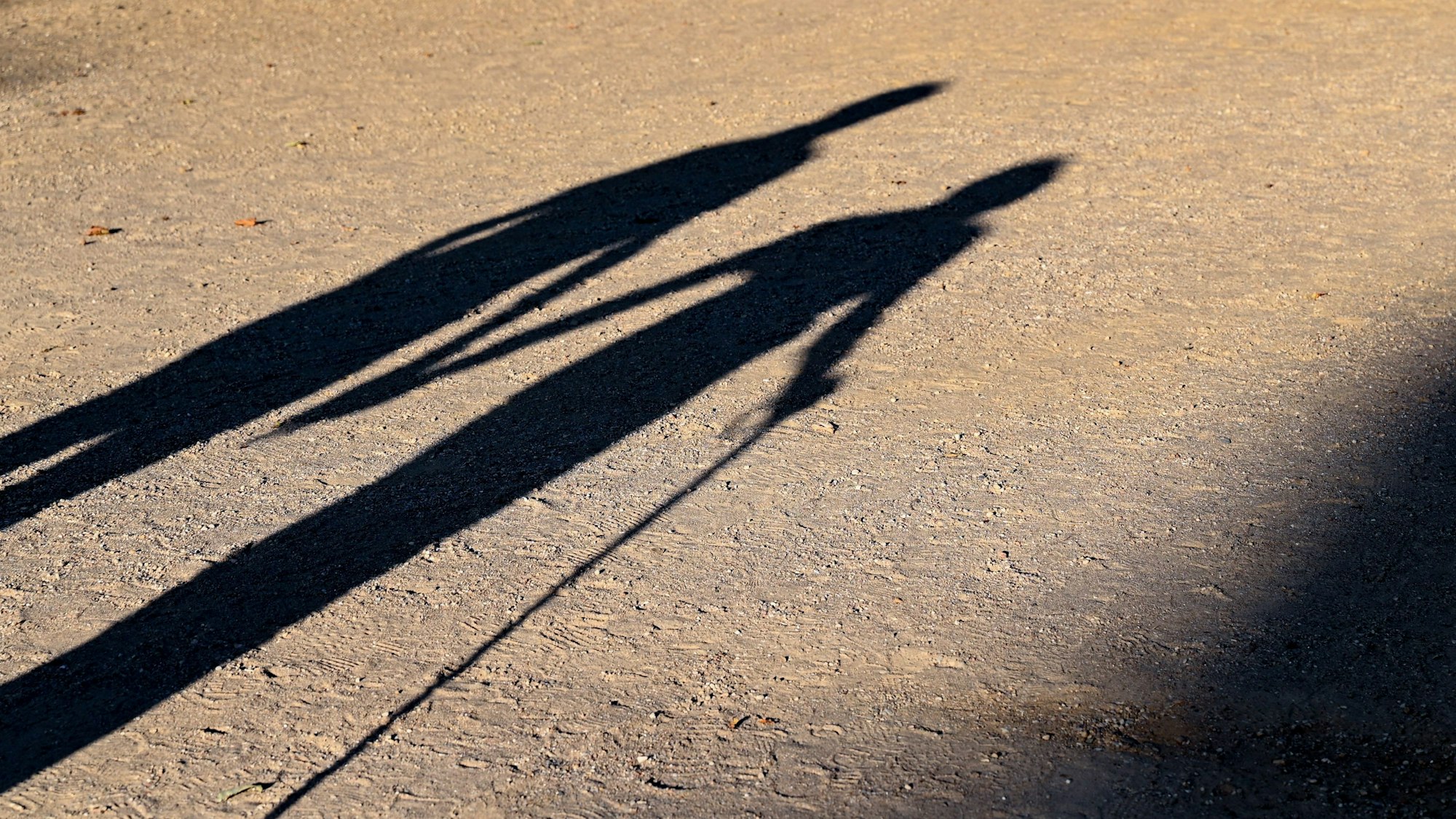 Zwei ältere Personen gehen Hand in Hand mit einem Gehstock über einen Weg und werfen einen langen Schatten.