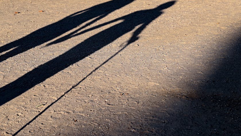 Zwei ältere Personen gehen Hand in Hand mit einem Gehstock über einen Weg und werfen einen langen Schatten.