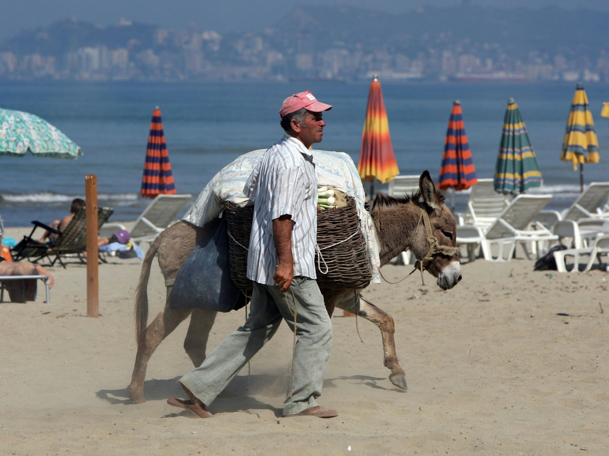 Ein mann geht mit seinem Esel über einen Strand in Albanien.