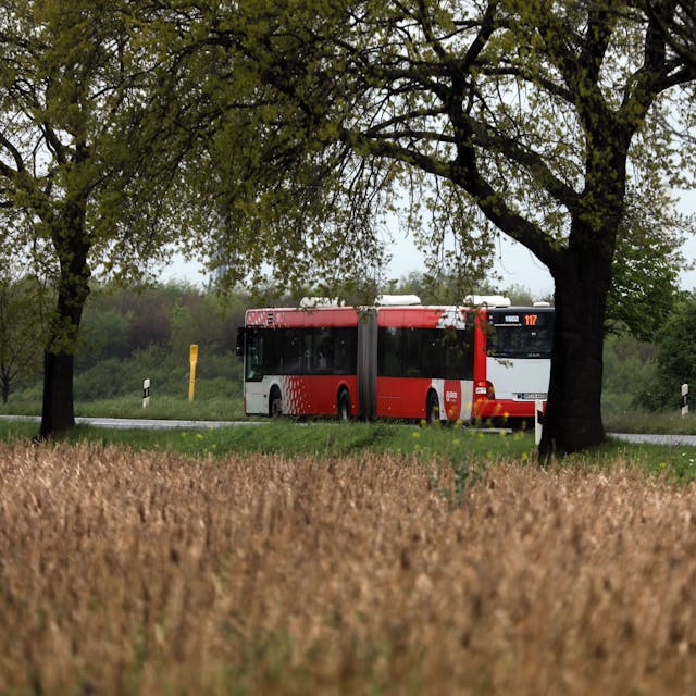 Buslinie 117 in Köln.