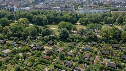 Blick aus der Luft auf den grünen Lohsepark in Köln-Nippes.