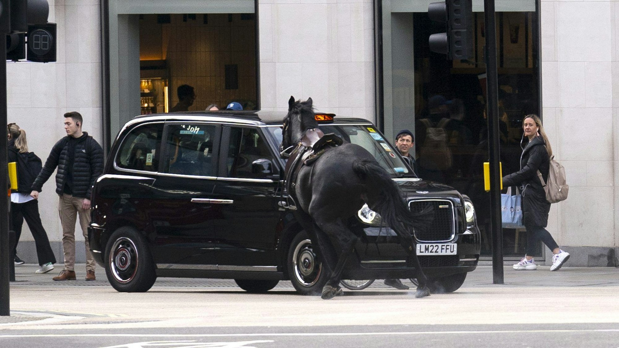Aufnahme, wie das Pferd auf das Taxi zuläuft.